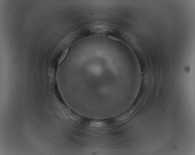 X0000091010283200708021555