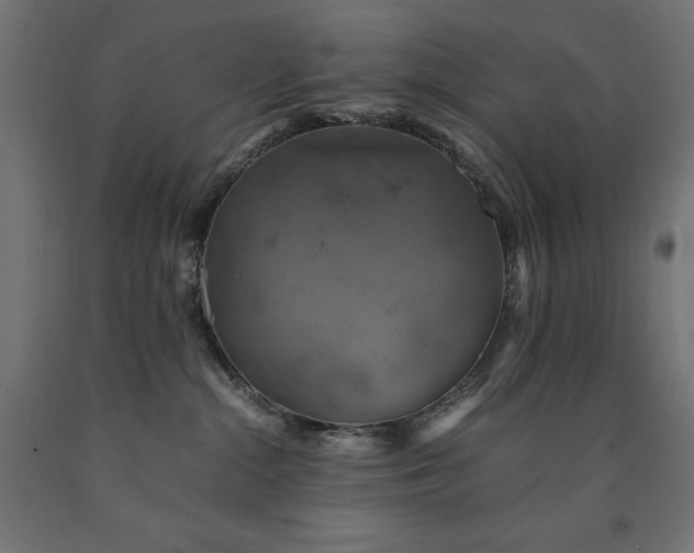 X0000091010284200708021555