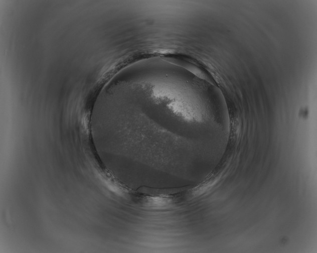 X0000091010286200708021555