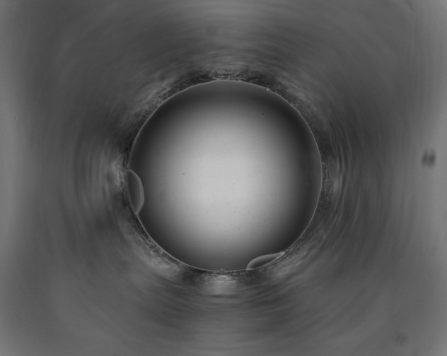 X0000091010287200708021555