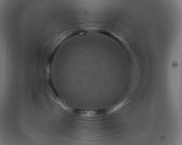 X0000091010288200708021555