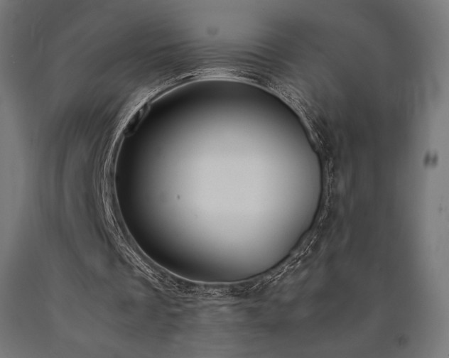 X0000091010289200708021555