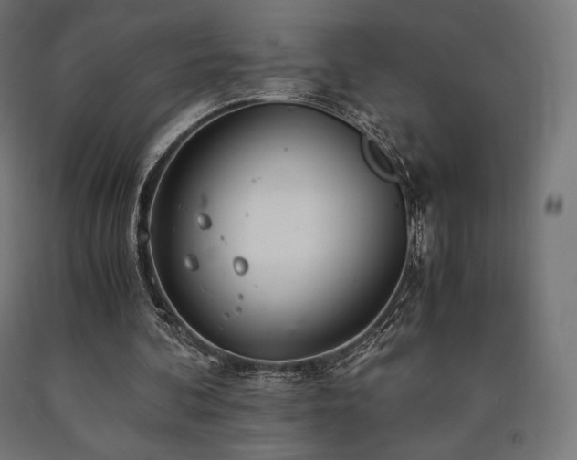 X0000091010292200708021554
