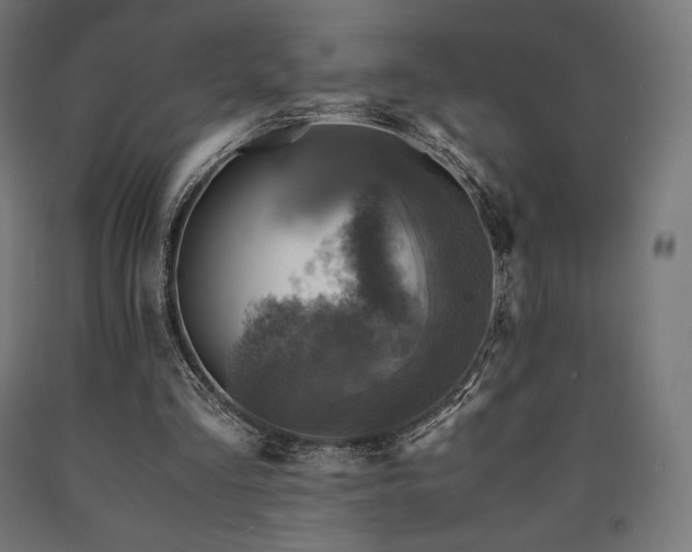 X0000091010293200708021554