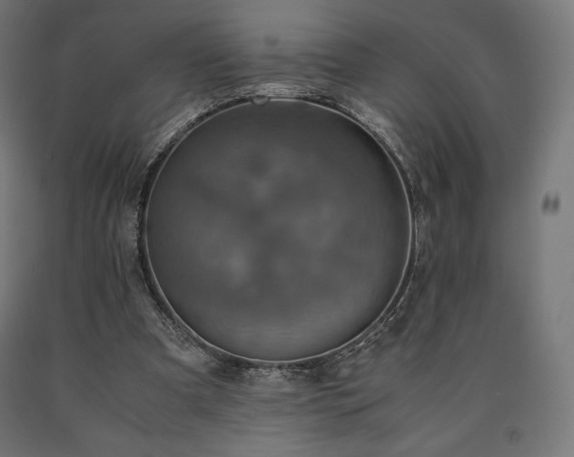 X0000091010297200708021554