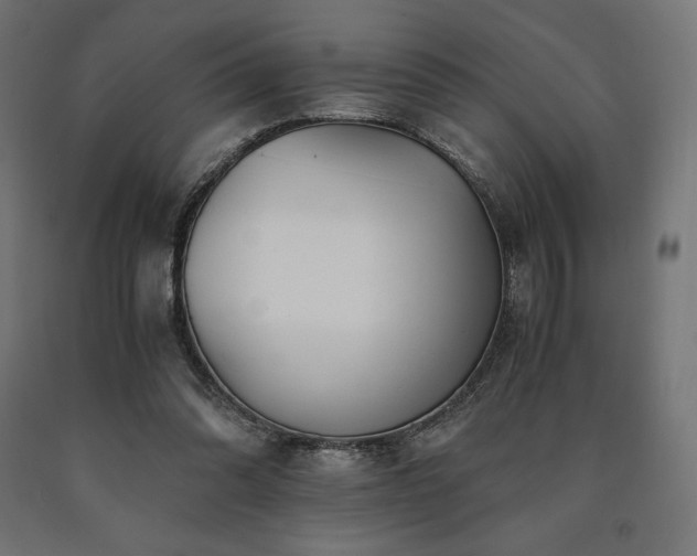 X0000091010302200708021554