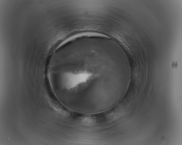 X0000091010303200708021554
