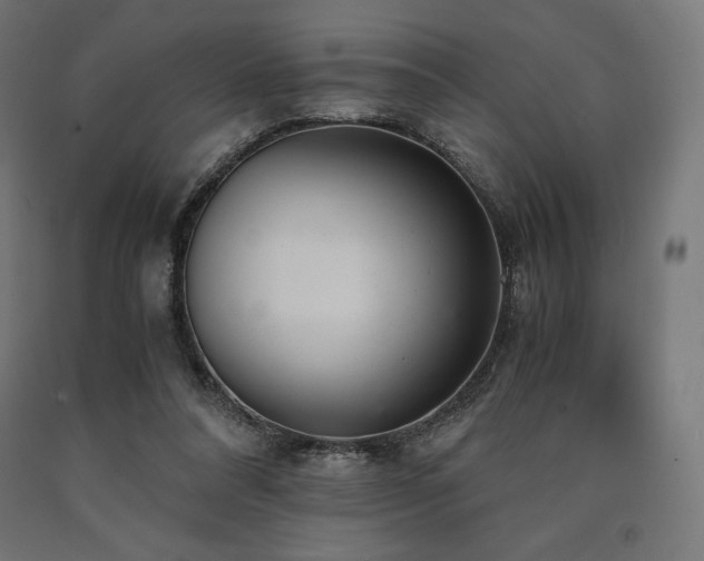X0000091010304200708021554