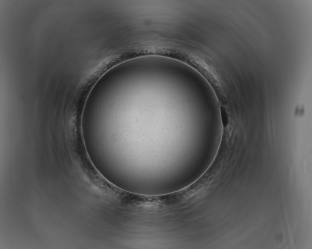 X0000091010306200708021554