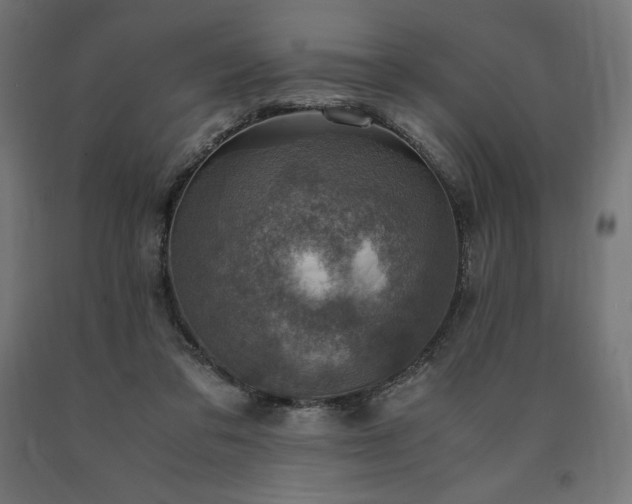 X0000091010309200708021554