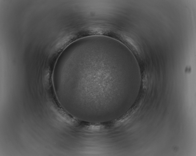 X0000091010314200708021554