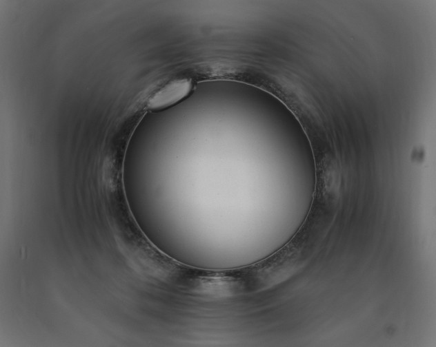 X0000091010316200708021554