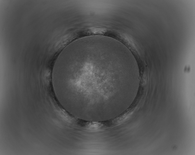 X0000091010321200708021554
