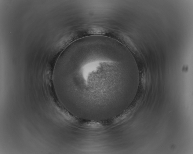 X0000091010322200708021554