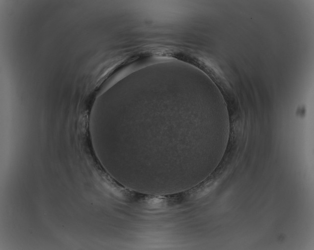 X0000091010325200708021554