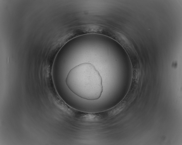 X0000091010326200708021554