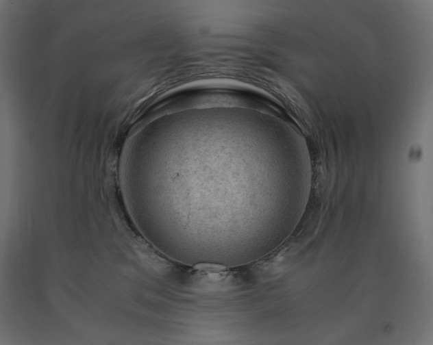 X0000091010329200708021554