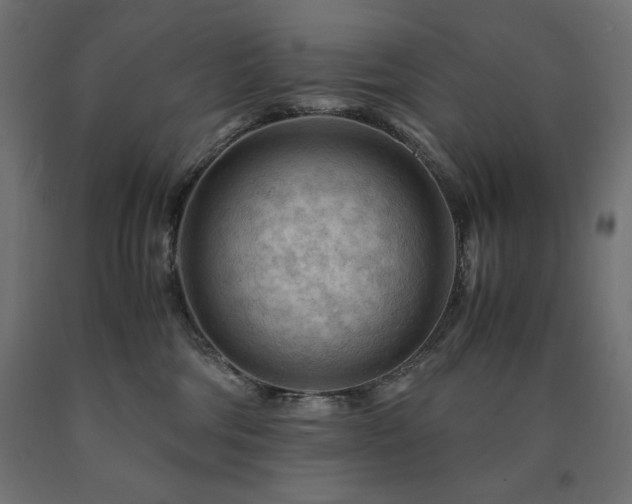 X0000091010330200708021554