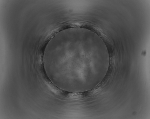 X0000091010331200708021554