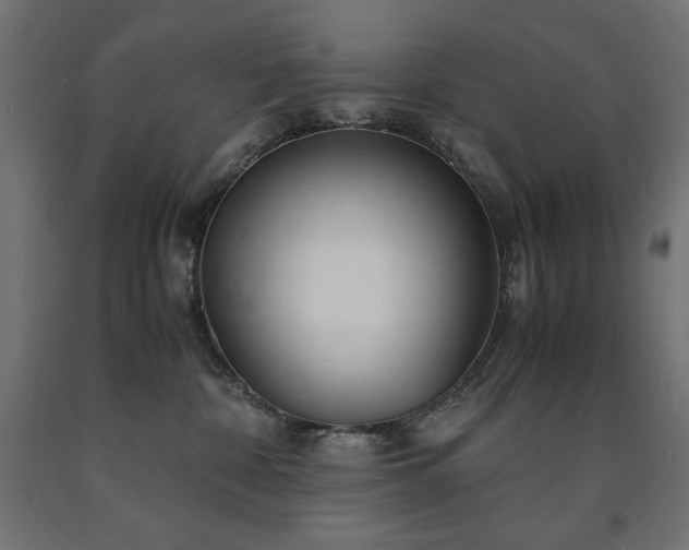 X0000091010332200708021554