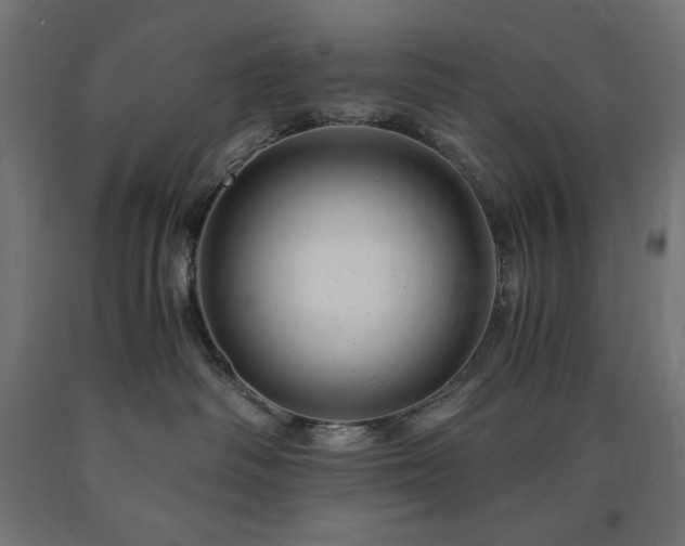 X0000091010334200708021554
