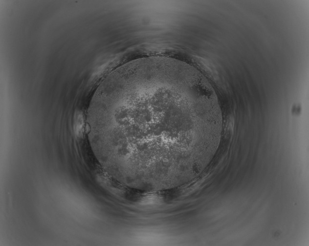 X0000091010335200708021554