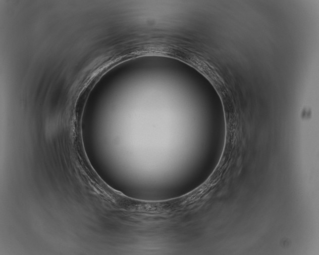 X0000091010338200708021553