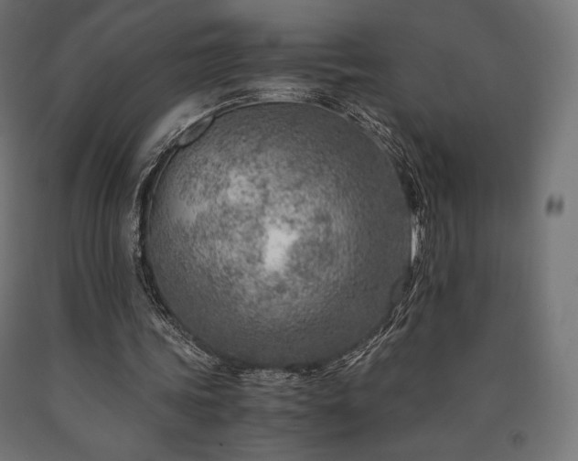 X0000091010339200708021553