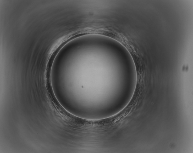X0000091010340200708021553