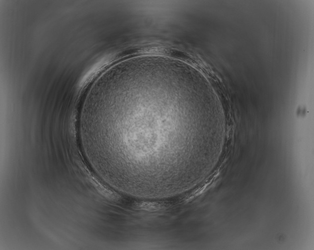 X0000091010341200708021553
