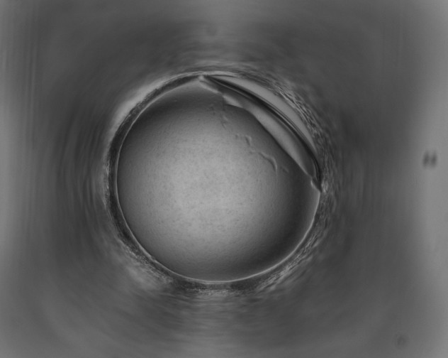 X0000091010342200708021553