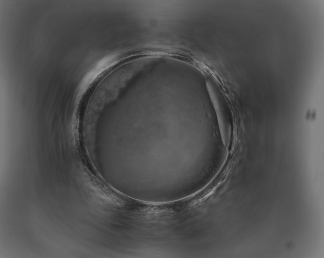X0000091010343200708021553