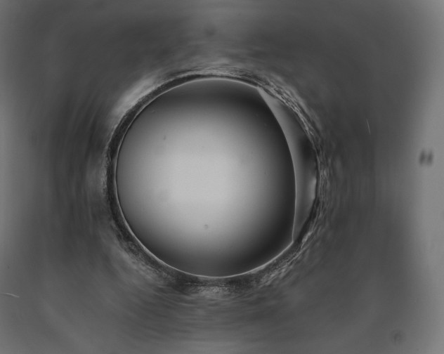 X0000091010344200708021553