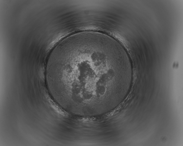 X0000091010345200708021553