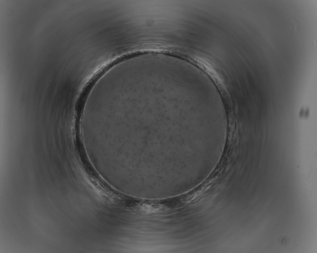 X0000091010346200708021553