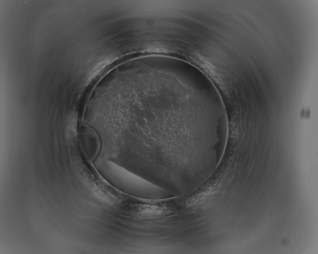 X0000091010347200708021553