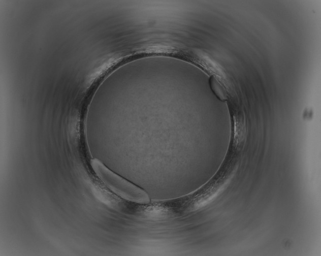 X0000091010348200708021553