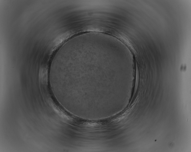 X0000091010349200708021553