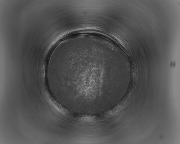 X0000091010350200708021553