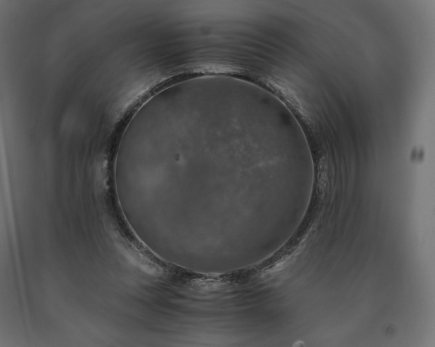 X0000091010351200708021553