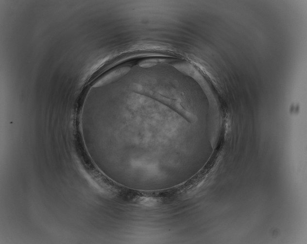 X0000091010352200708021553