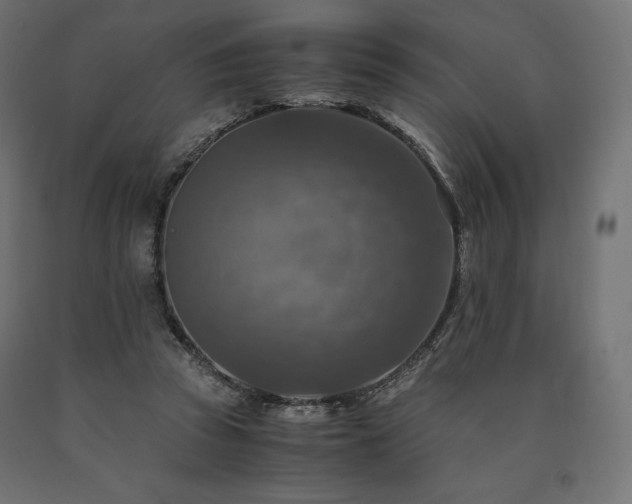 X0000091010353200708021553