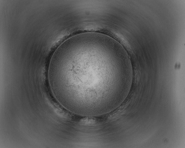 X0000091010354200708021553
