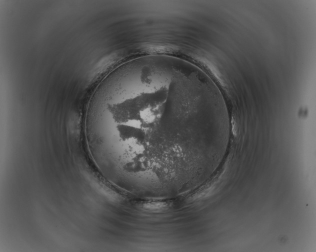 X0000091010357200708021553