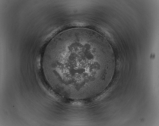 X0000091010358200708021553