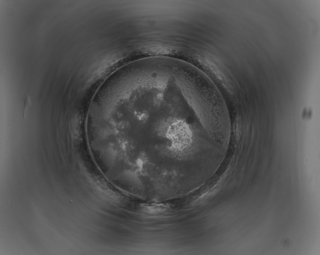 X0000091010359200708021553