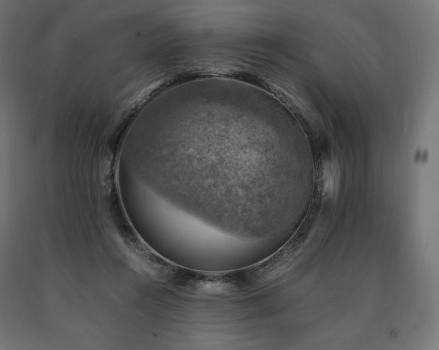 X0000091010360200708021553