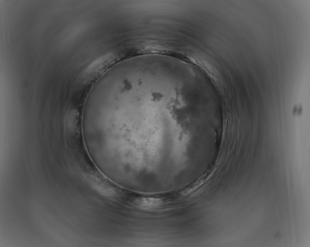 X0000091010361200708021553