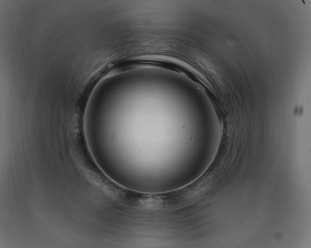 X0000091010362200708021553
