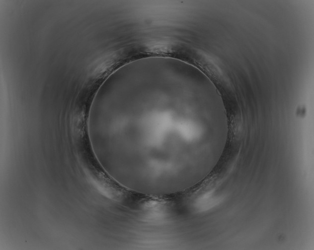 X0000091010364200708021553